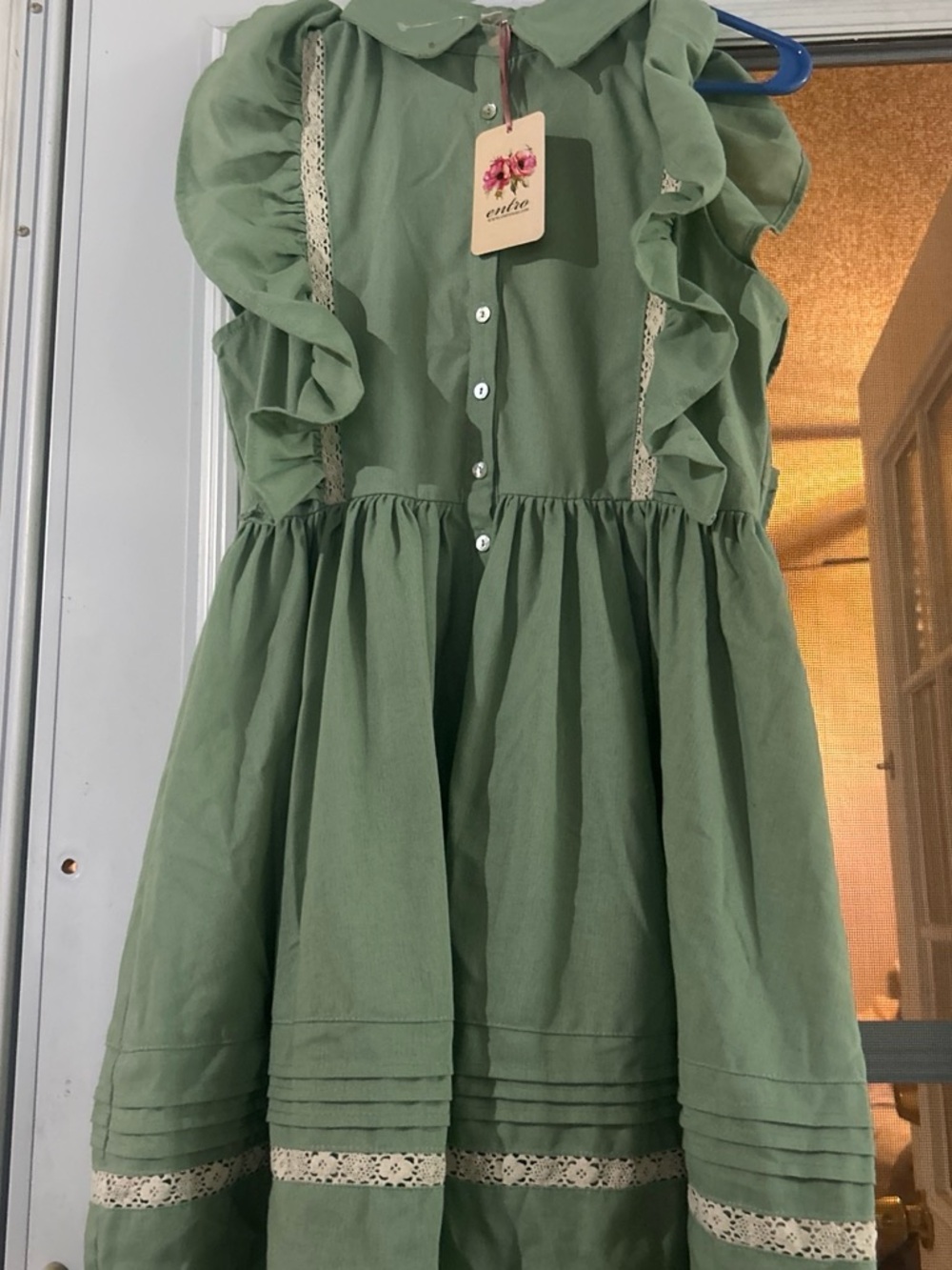 entro Green Ruffle Lace Button-Front Dress